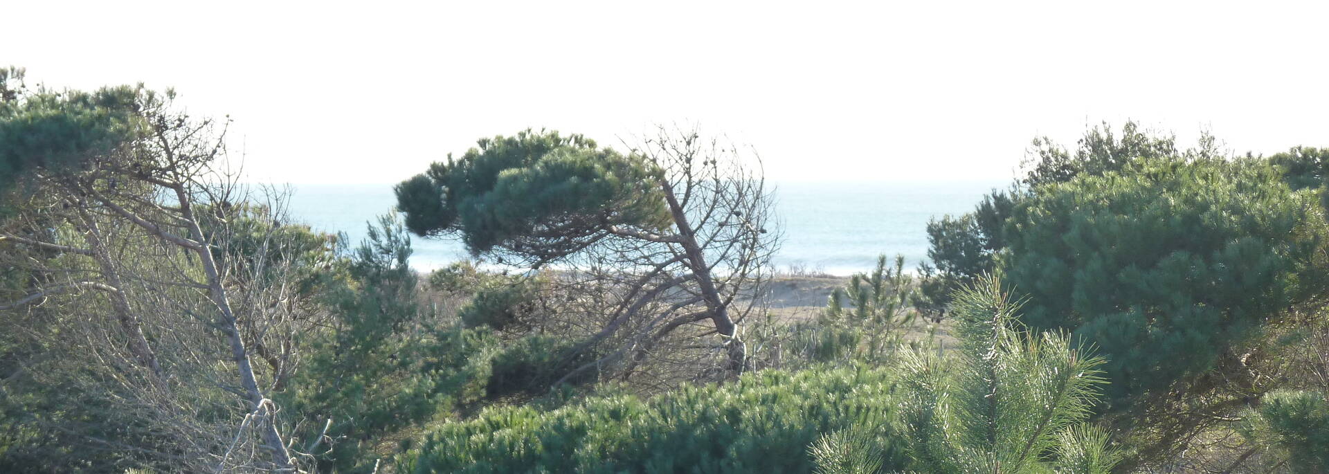 Zugang zum Strand bei Boyardville