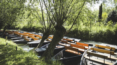 Barques dans les canaux du Marais Poitevin