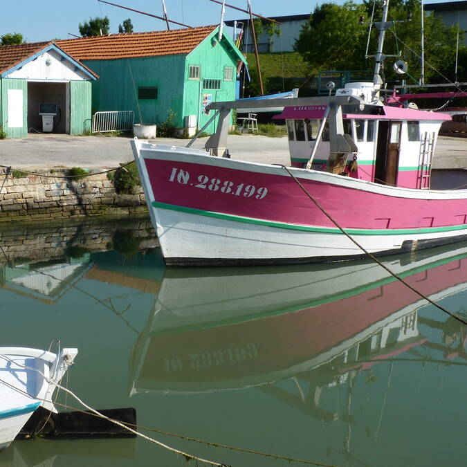 Austernzüchter am Hafen in Château d’Oléron  © FDHPA 17